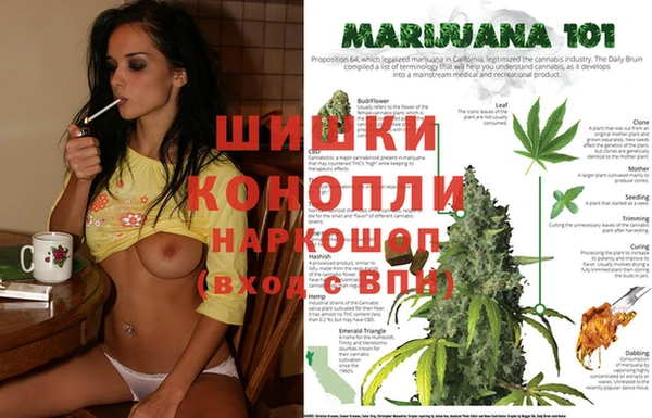 мяу мяу мука Белокуриха